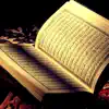 Maher Al Mueaqly - The Holy Quran - Le Saint Coran, Vol 13